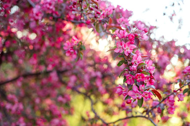 Similar image 22619918