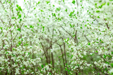 Similar image 22619920