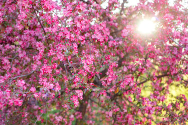 Similar image 22619923