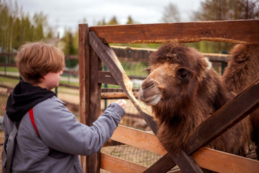 Similar image 22619925