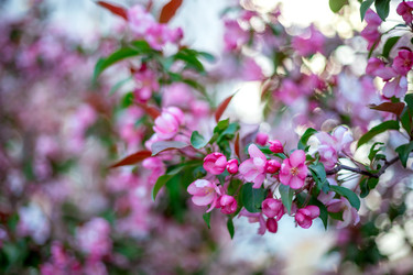 Similar image 22619926