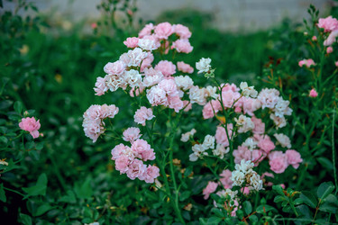 Similar image 22619929