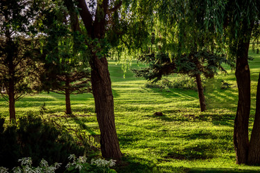 Similar image 22619930