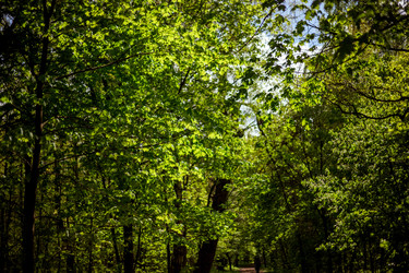 Similar image 22619931