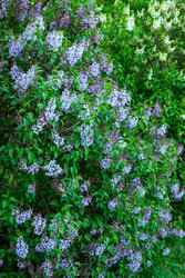 Similar image 22619932