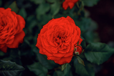 Similar image 22619934