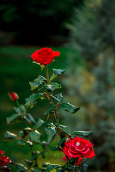 Similar image 22619938