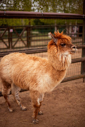 Similar image 22619939