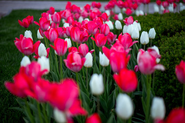 Similar image 22619940