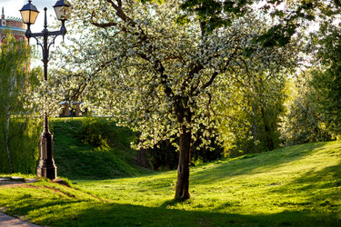 Similar image 22619947