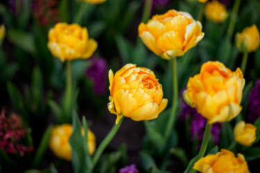 Similar image 22619951