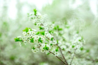 Similar image 22619952