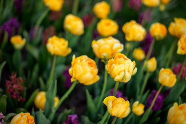 Similar image 22619955