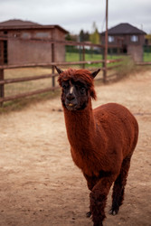 Similar image 22619957