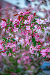 Similar image 22619963