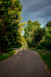 Similar image 22619971