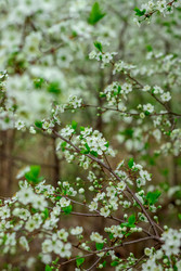 Similar image 22619972