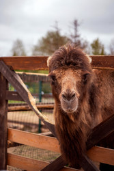 Similar image 22619975