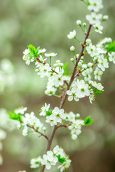 Similar image 22619977