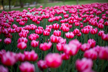 Similar image 22619978