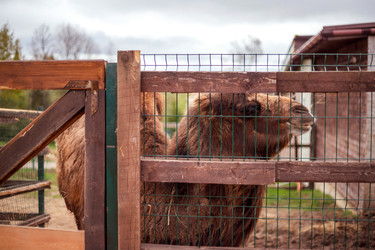 Similar image 22619980