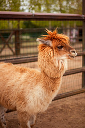 Similar image 22619989