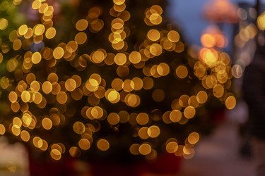 Similar image 22619990