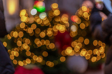 Similar image 22619991