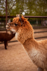 Similar image 22619993