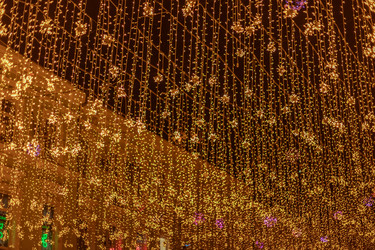 Similar image 22619994