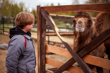 Similar image 22620005