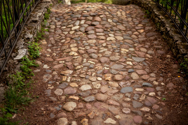 Similar image 22620007