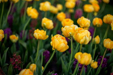 Similar image 22620008