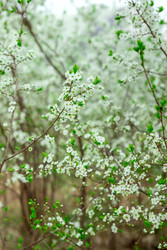 Similar image 22620009