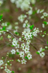 Similar image 22620010