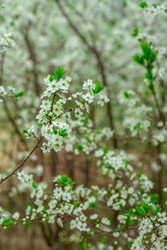 Similar image 22620019