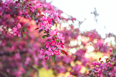 Similar image 22620021