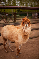 Similar image 22620022