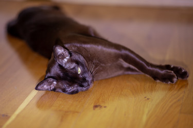 Similar image 22620035