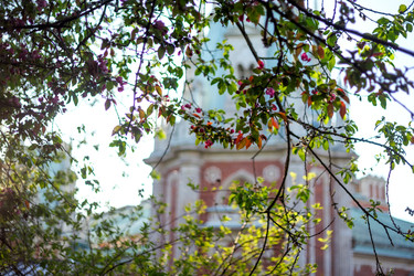 Similar image 22620036