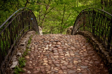 Similar image 22620040