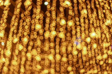 Similar image 22620049