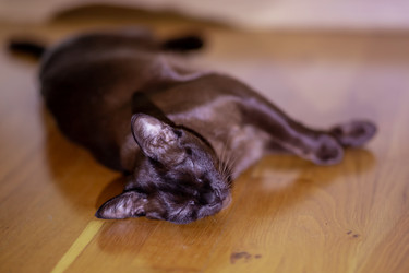 Similar image 22620051