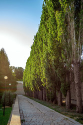 Similar image 22620052