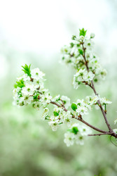 Similar image 22620064