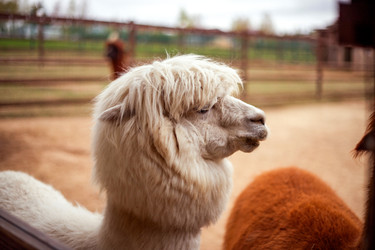 Similar image 22620065