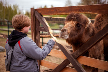 Similar image 22620067