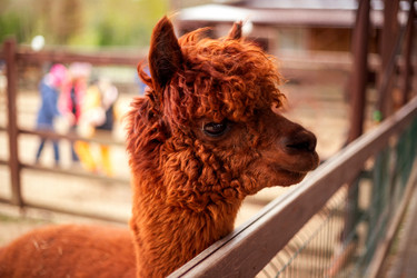 Similar image 22620070