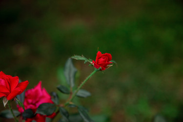 Similar image 22620081