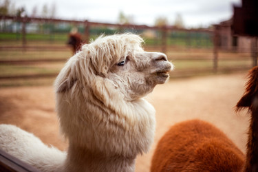 Similar image 22620082